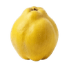 Ayva